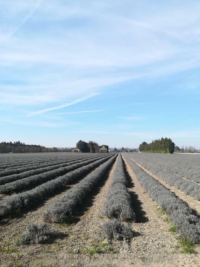Bed and Breakfast Au Pays Du Ventoux Le Thor Esterno foto